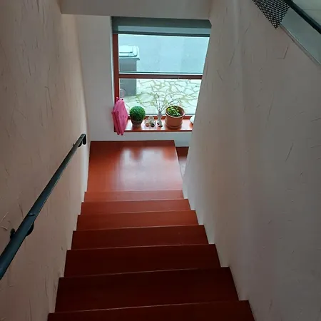 Rodinny Dum Polanka *